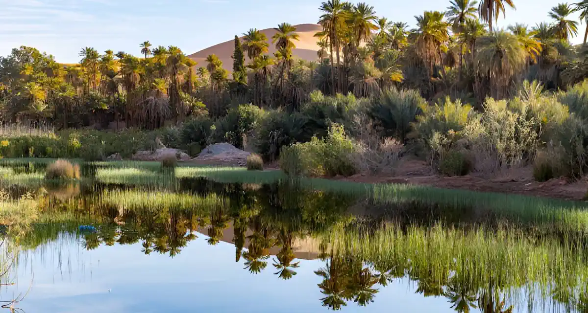 الجزائر رحلة واحات وادي مزاب 7 أيام