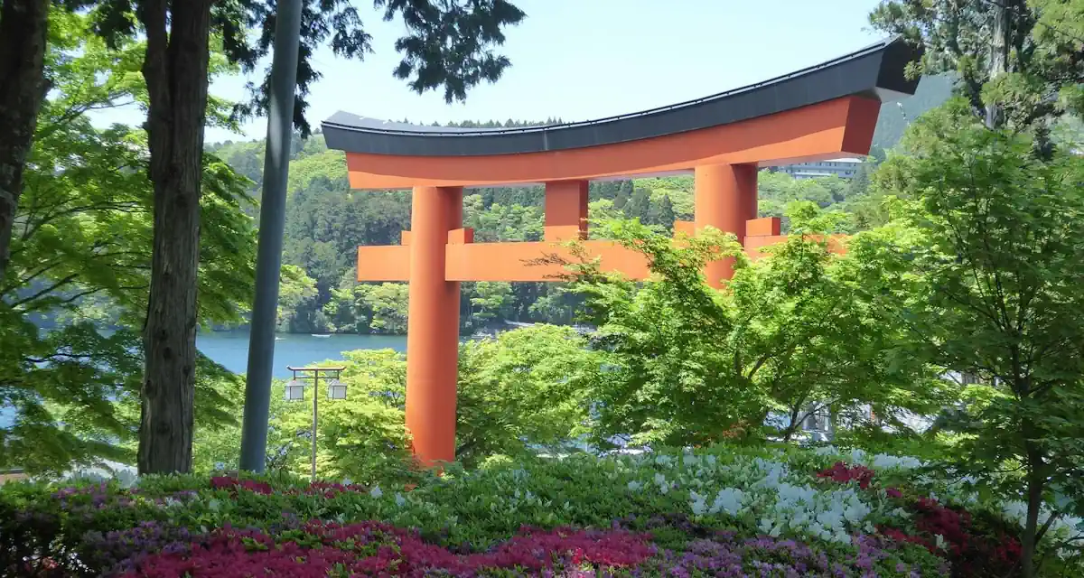 اليابان 3 ايام في طوكيو