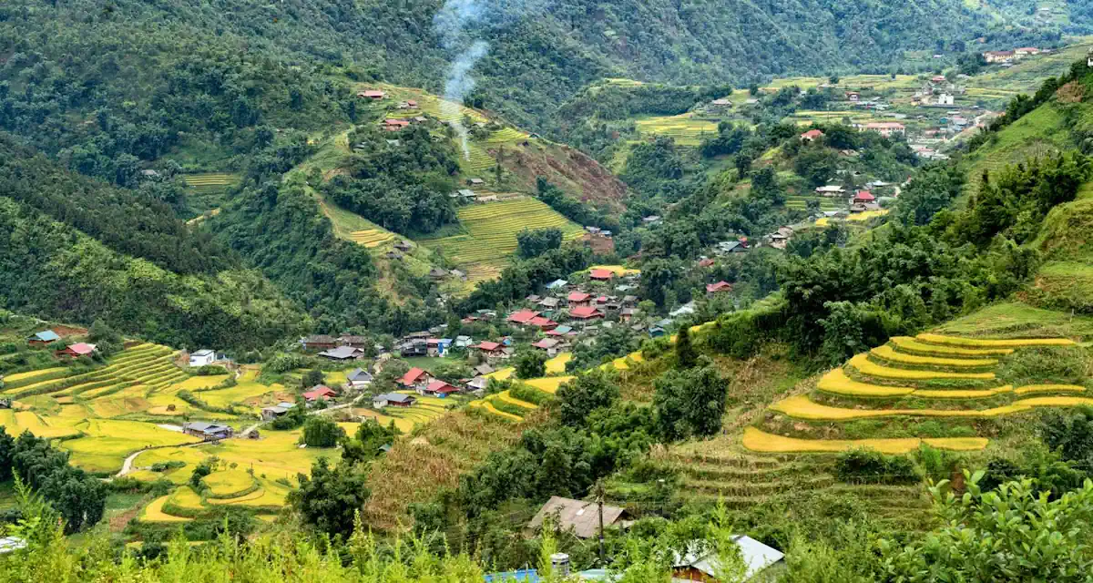 شمال فيتنام مع سابا 11 يوم