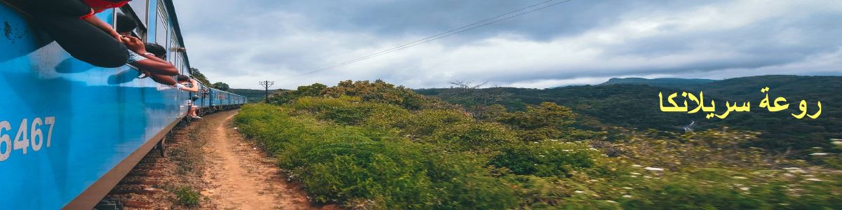 العروض السياحية عروض هاني ترفل سيرلانكا