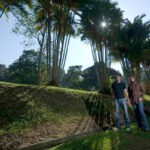 عرض جمال ماليزيا الطبيعي 10 أيام تبدأ من سنغافورة