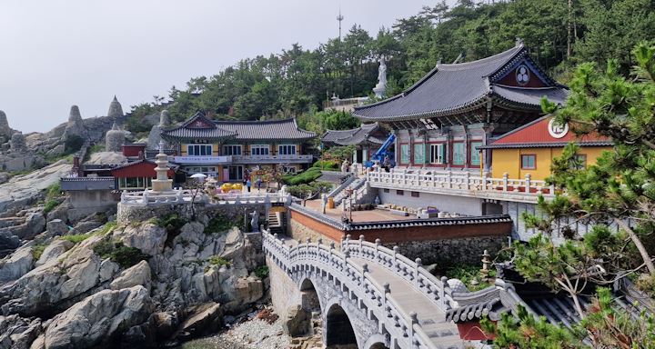 عروض افضل 7 برامج سفر الى كوريا الجنوبية 