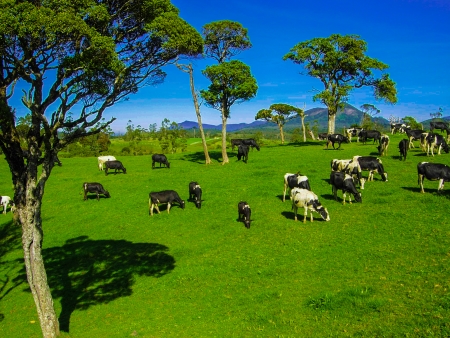 عروض سفر سيرلانكا